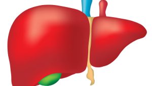 Apakah Penyakit Liver Itu Menular?