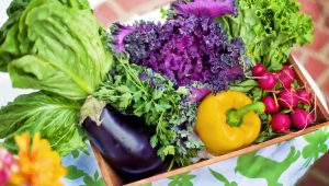 Pentingnya Buah dan Sayur bagi Lansia
