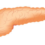 pankreas
