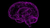 Tips Mencegah Demensia pada Lansia