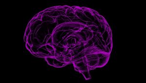 Tips Mencegah Demensia pada Lansia