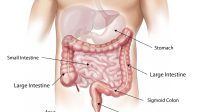 Rayakan Bulan Kesehatan Usus dengan Makan dan Tidur  Teratur