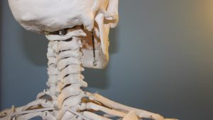 Mengenal Osteoarthritis dan Osteoporosis, Penyakit Tulang Pada Usia Lanjut