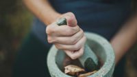 herbal untuk asam urat