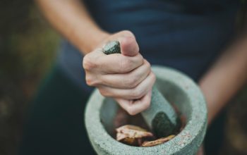 herbal untuk asam urat