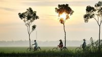 Renungan : HMI 75 Tahun.. Masihkah Punya Energi Melanjut ??