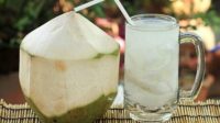Bukan Cuma Segar, Ini Manfaat Buka Puasa dengan Air Kelapa
