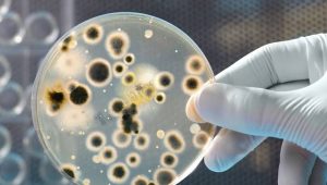 9 Bakteri Ini Paling Berbahaya dan Resisten dengan Antibiotik