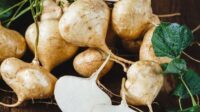 Daftar Makanan yang Membuat Kulit Tetap Glowing, Penting untuk Lansia