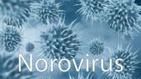 Waspada Norovirus, Kenali Virus yang Kembali Mewabah di Amerika Serikat