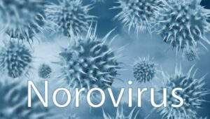 Waspada Norovirus, Kenali Virus yang Kembali Mewabah di Amerika Serikat