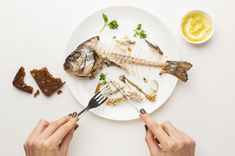 Manfaat Ikan untuk Kesehatan Lansia